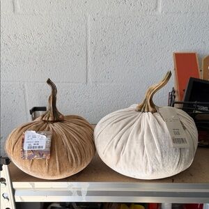 Velvet Pumpkin Decor Set - Cream and Tan